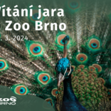 V brněnské zoo přivítáme v sobotu jaro
